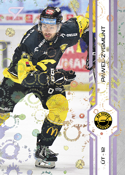 Pawel Zygmunt Litvinov Tipsport ELH 2024/25 SportZoo 2. serie Puck Marks #288
